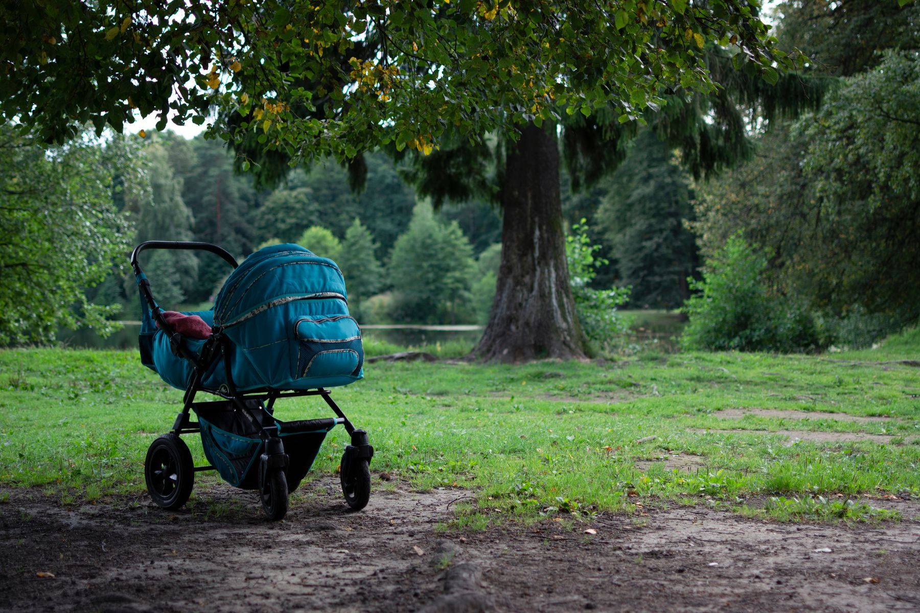 Poussette premium en balade dans un parc