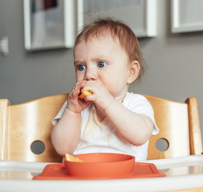 Bébé mange seul dans une assiette à ventouse