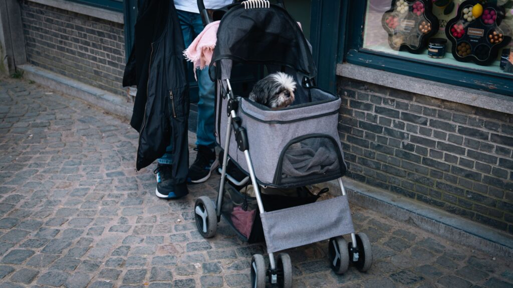 Petit chien confortablement installé dans une poussette pour chien