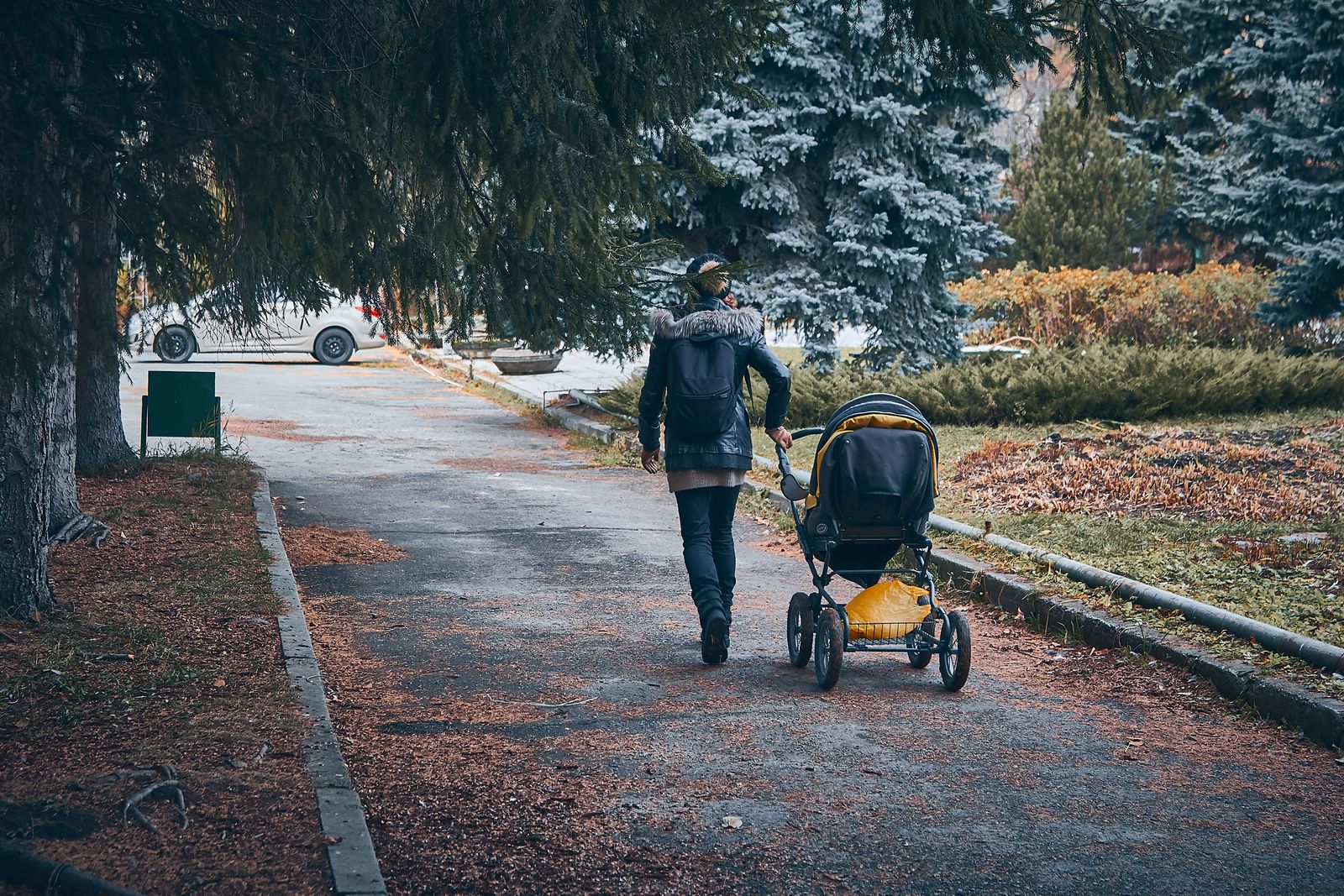 Poussette sur un chemin de parc en automne