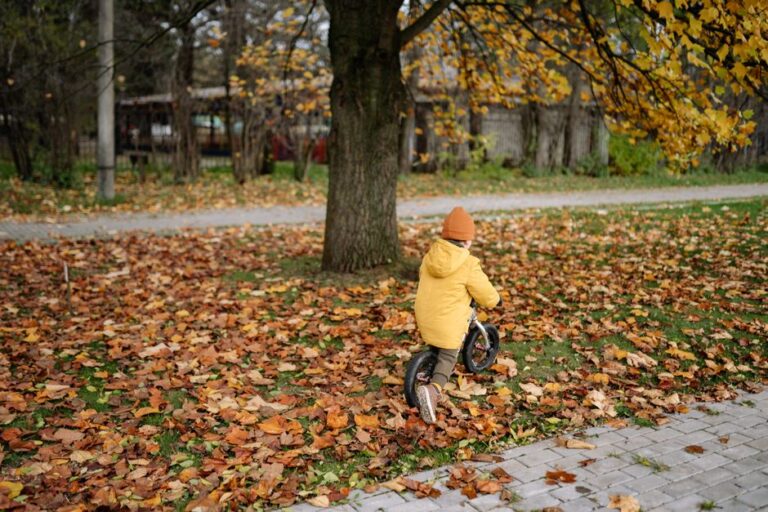 Enfant sur sa draisienne dans un parc